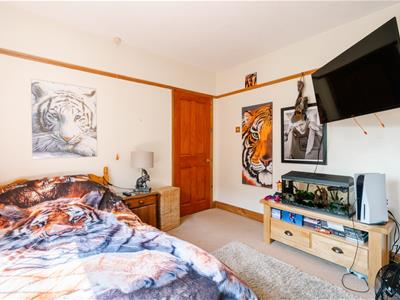 Picture 20